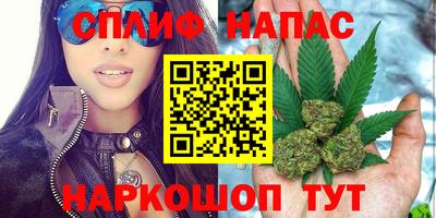 стаф Кулебаки