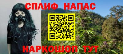 сатива Кунгур