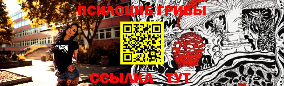Псилоцибиновые грибы мицелий  Вход с VPN  Благовещенск 